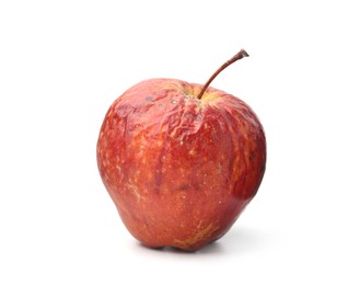 Photo of One whole rotten apple isolated on white