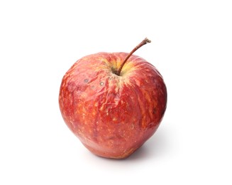 Photo of One whole rotten apple isolated on white