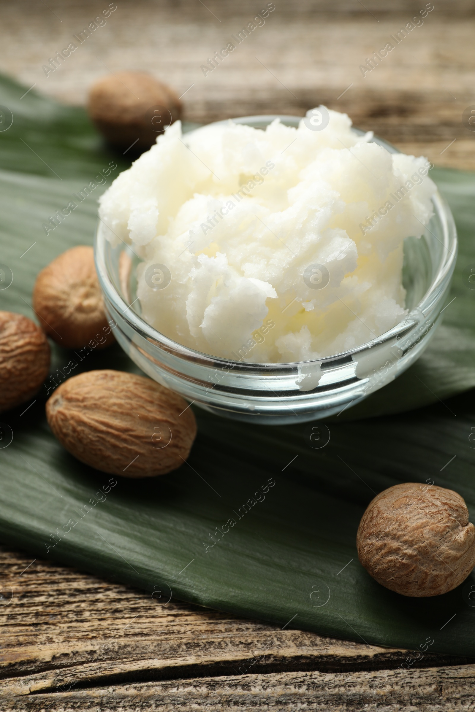 Natural shea butter and nuts on wooden table, closeup Photo of Natural shea butter and nuts on wooden table, closeup