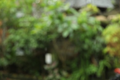 Photo of Blurred view of green plants growing outdoors