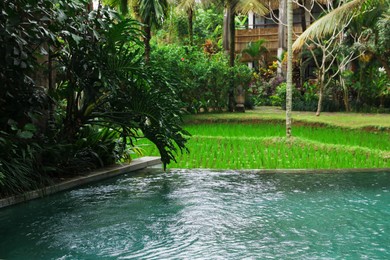 Photo of Swimming pool and beautiful plants at luxury resort