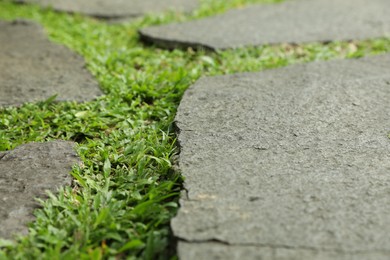 Photo of Stone walkway with green grass outdoors, closeup