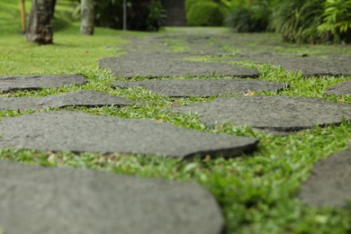 Photo of Stone walkway with green grass outdoors, closeup