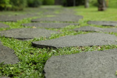 Photo of Stone walkway with green grass outdoors, closeup