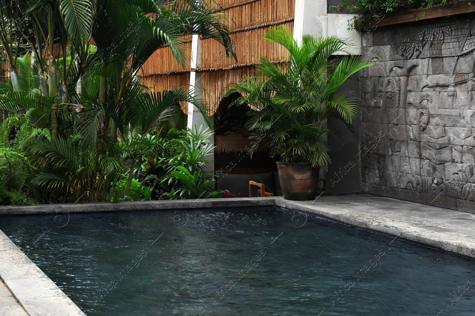 Swimming pool and beautiful plants at luxury resort Photo of Swimming pool and beautiful plants at luxury resort