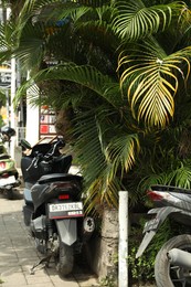 Photo of Bali, Indonesia - May 15, 2025: Scooters parked near green plant outdoors