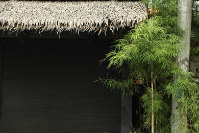 Photo of Stall closed with roller shutter and green plant outdoors