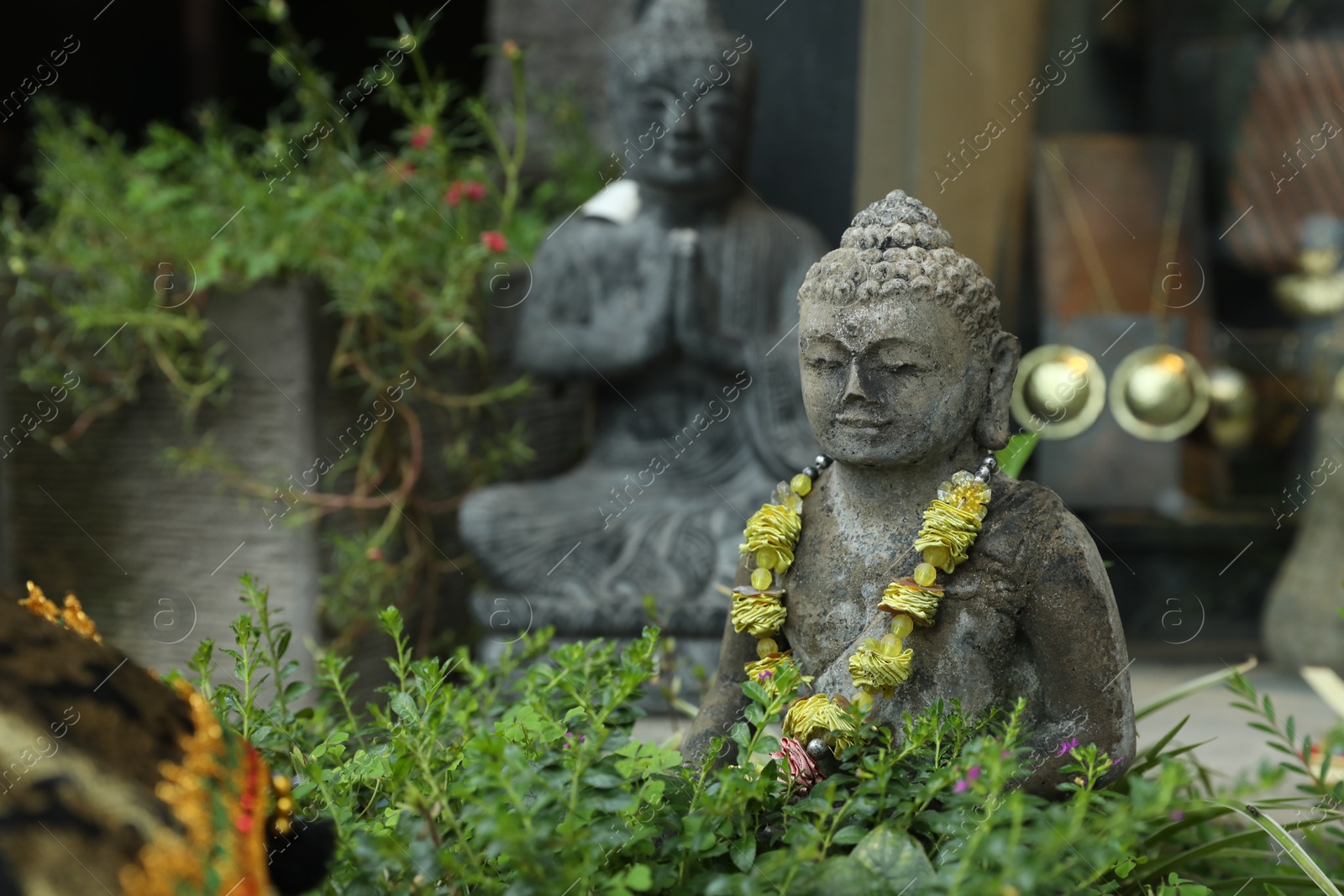 Bali, Indonesia - May 15, 2025: Beautiful Buddha statue surrounded by green plants outdoors Photo of Bali, Indonesia - May 15, 2025: Beautiful Buddha statue surrounded by green plants outdoors