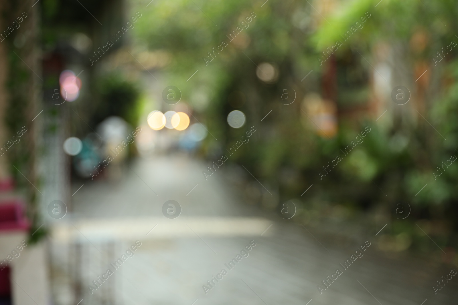 Blurred view of street with pathway and green plants Photo of Blurred view of street with pathway and green plants