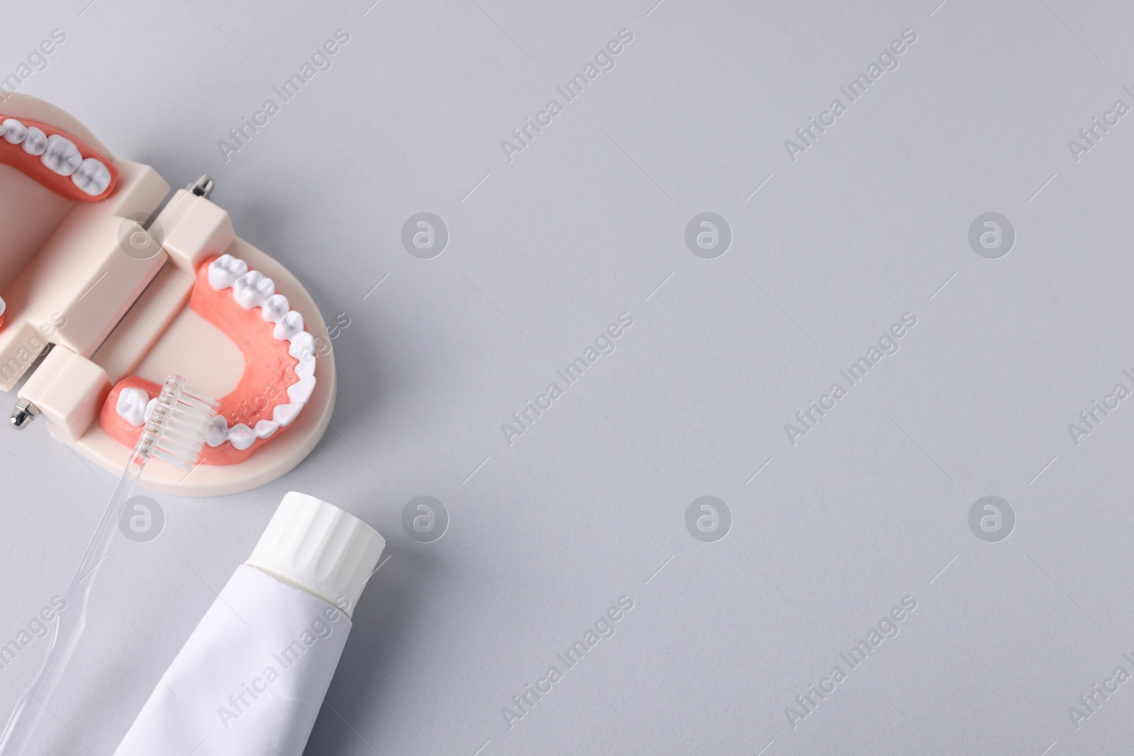 Dental model, toothpaste and toothbrush on light grey background, flat lay. Space for text Photo of Dental model, toothpaste and toothbrush on light grey background, flat lay. Space for text
