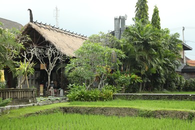 Photo of Bali, Indonesia - May 22, 2025: Different beautiful plants growing at resort