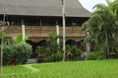 Photo of Different beautiful plants growing in hotel park