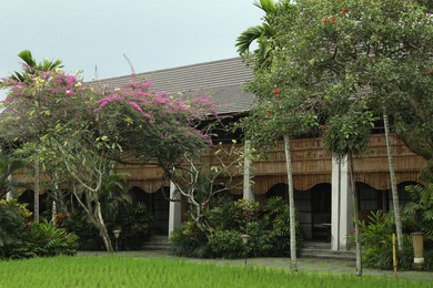 Photo of Different beautiful plants growing in hotel park