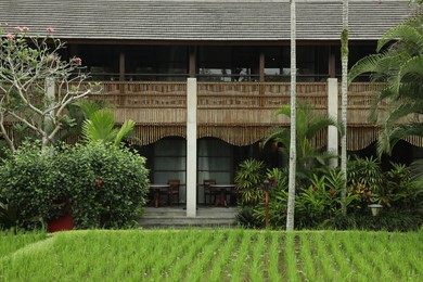 Photo of Different beautiful plants growing in hotel park