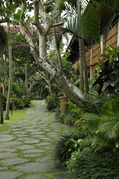 Photo of Pathway through park with different exotic plants
