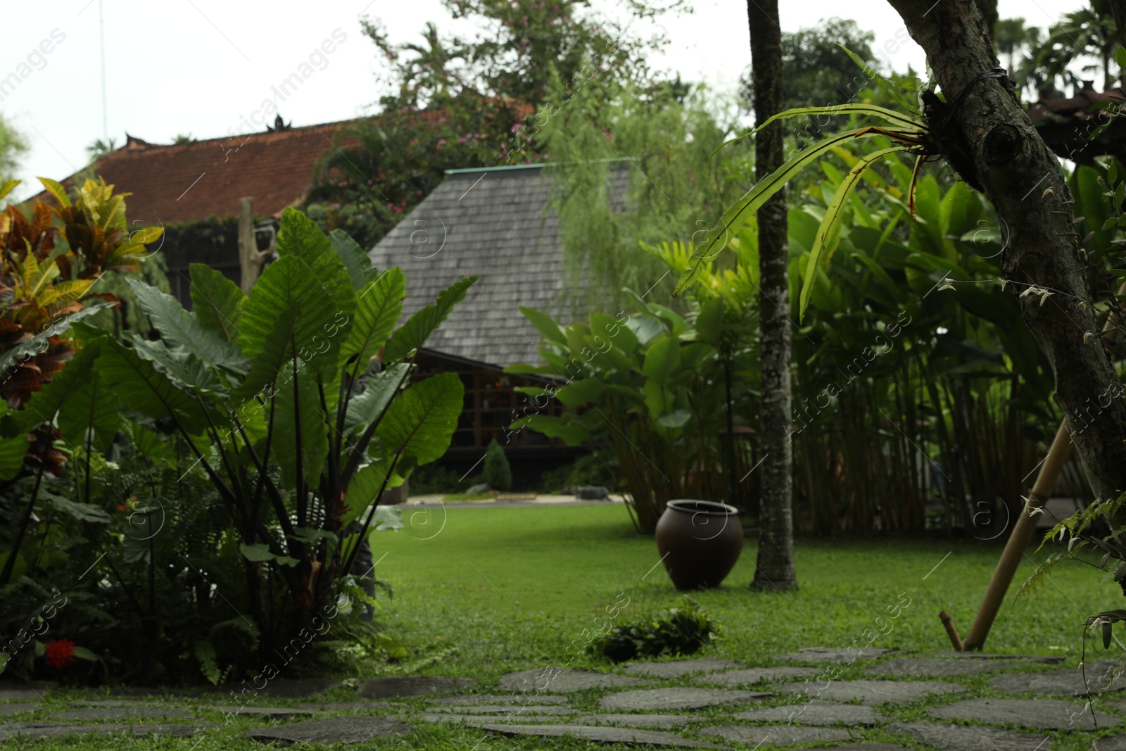 Pathway through park with different exotic plants Photo of Pathway through park with different exotic plants