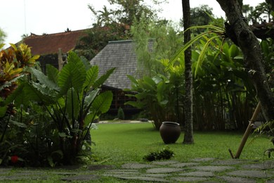 Photo of Pathway through park with different exotic plants