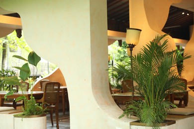 Photo of View of hotel restaurant and different plants
