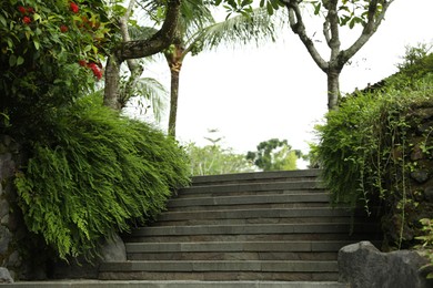 Photo of View of stairs in park with different exotic plants