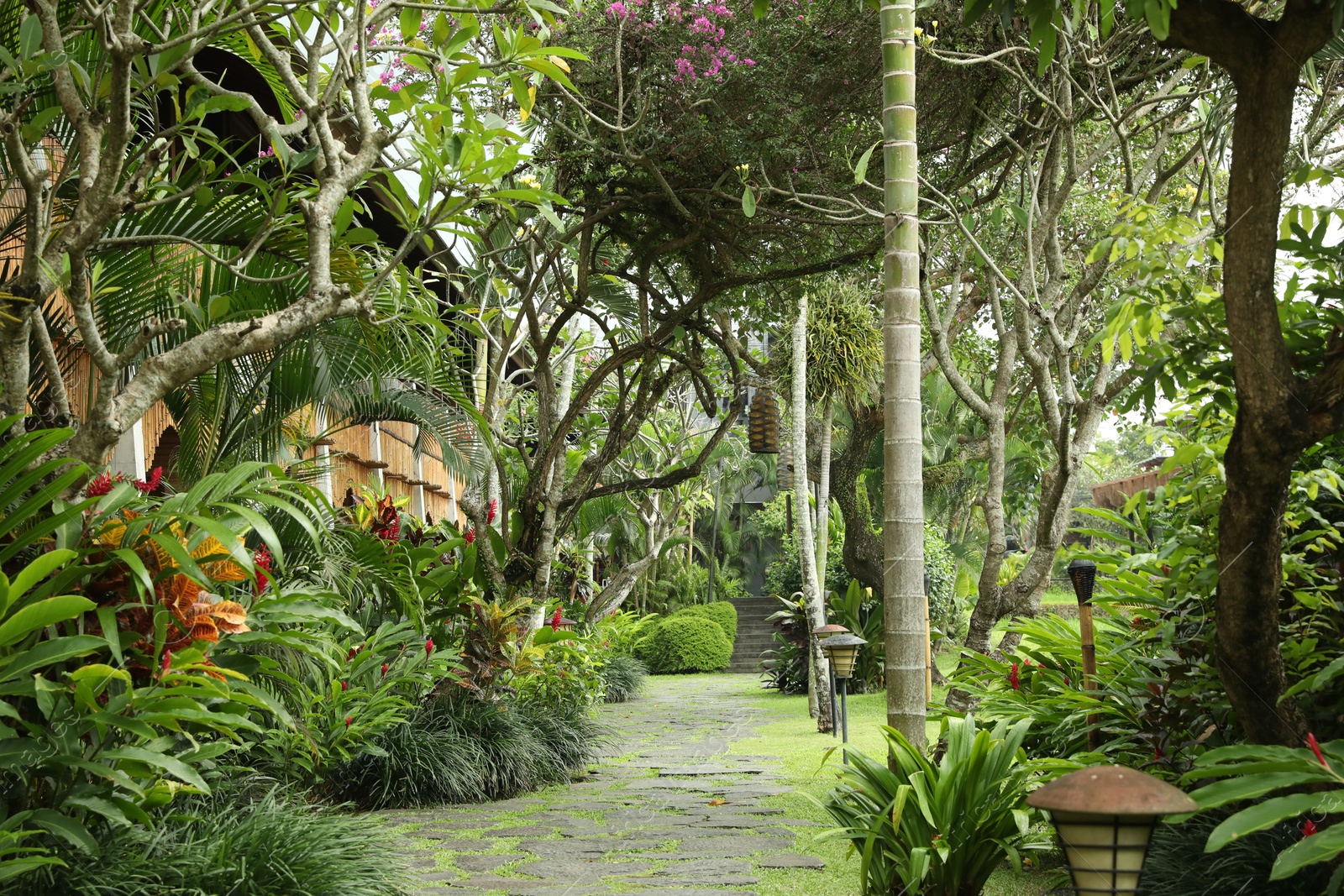 Pathway through park with different exotic plants Photo of Pathway through park with different exotic plants