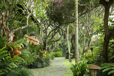Photo of Pathway through park with different exotic plants