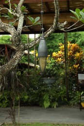 Photo of Stylish lamp on tree in hotel park