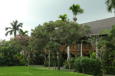 Photo of Different beautiful plants growing in hotel park