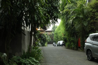 Photo of Cars parked along road with different tropical plants