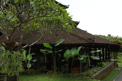 Photo of Different exotic plants growing near hotel building