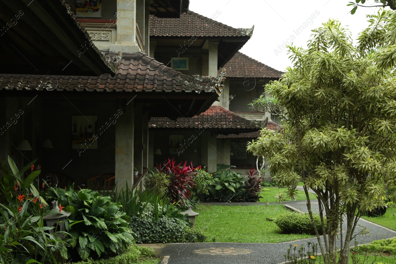 Different exotic plants growing near hotel building Photo of Different exotic plants growing near hotel building