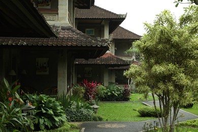 Photo of Different exotic plants growing near hotel building