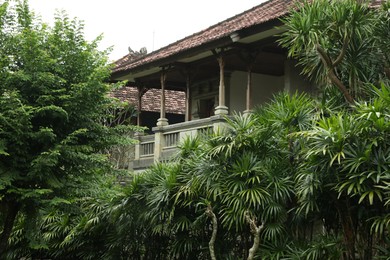 Photo of Different exotic plants growing near hotel building