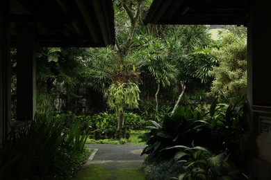 Photo of Different exotic plants growing in hotel park