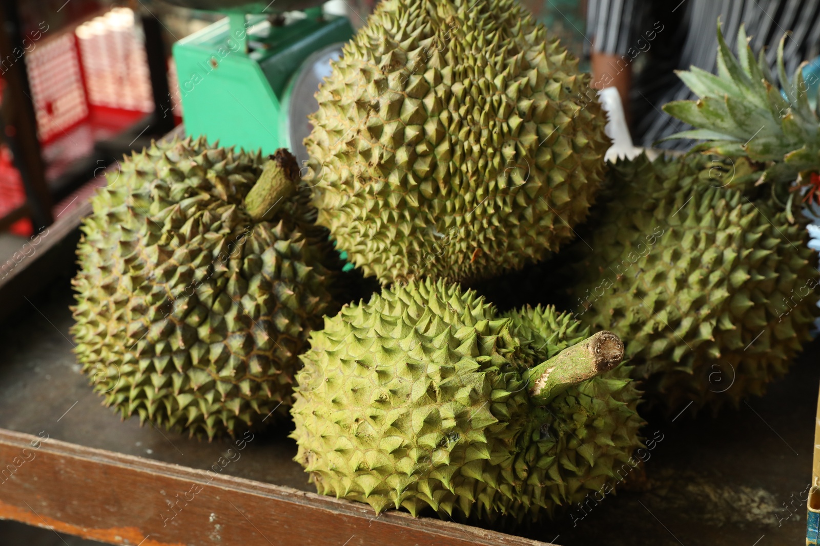 Fresh ripe durians on counter at market, closeup Photo of Fresh ripe durians on counter at market, closeup