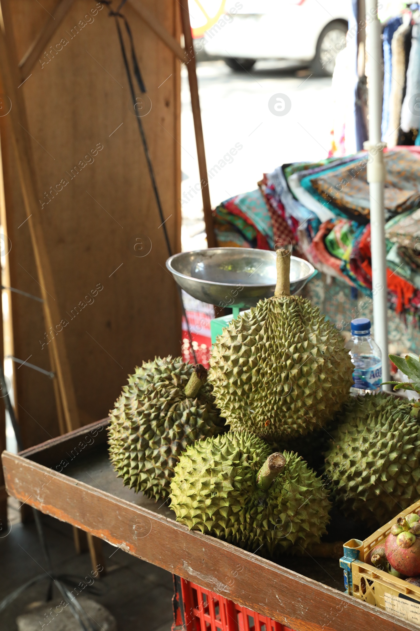 Fresh ripe durians on counter at market Photo of Fresh ripe durians on counter at market