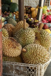 Photo of Fresh ripe durians in crate and other different fruits at market, closeup