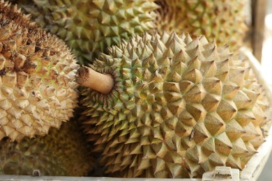 Photo of Fresh ripe durians at market, closeup view