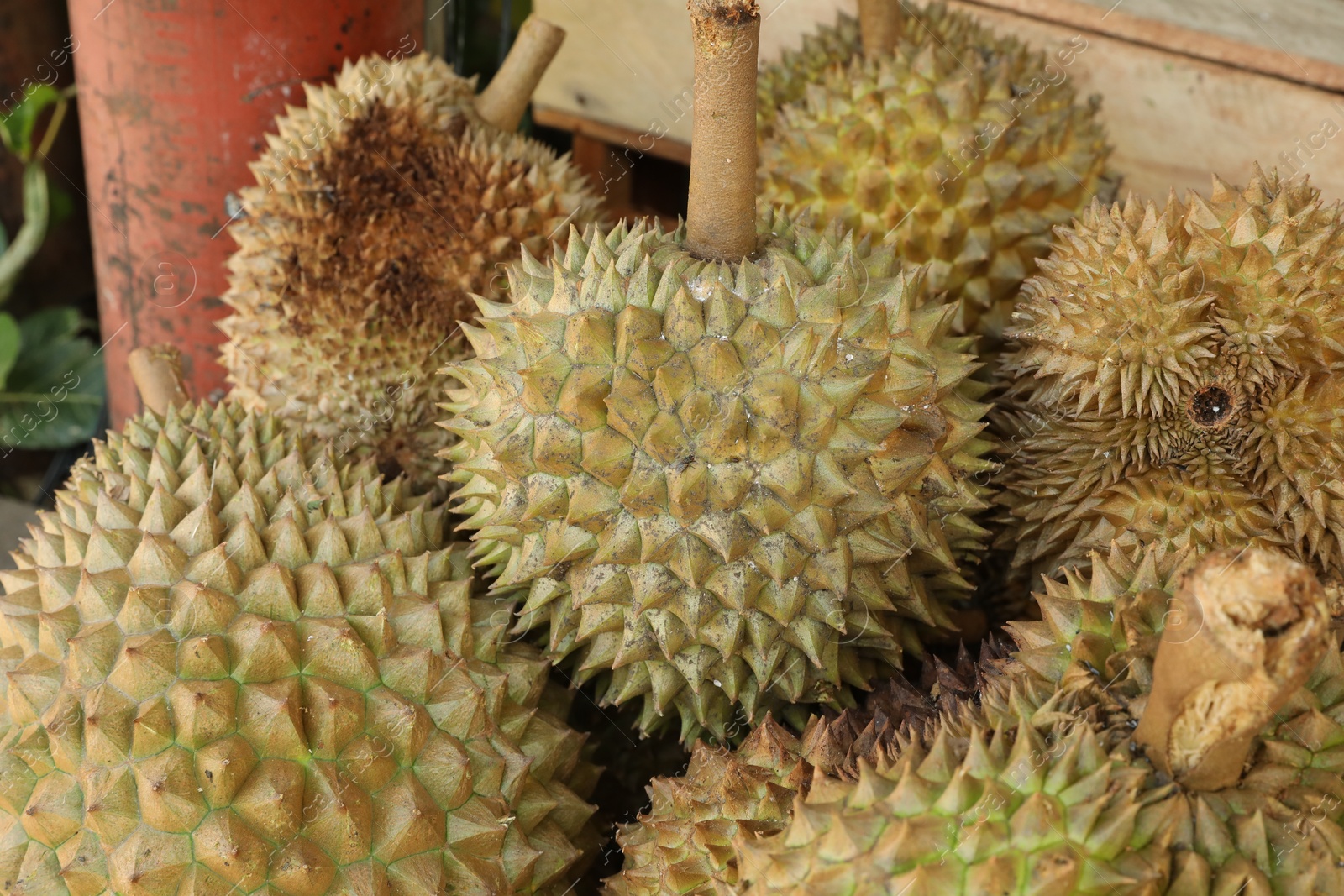 Fresh ripe durians at market, closeup view Photo of Fresh ripe durians at market, closeup view