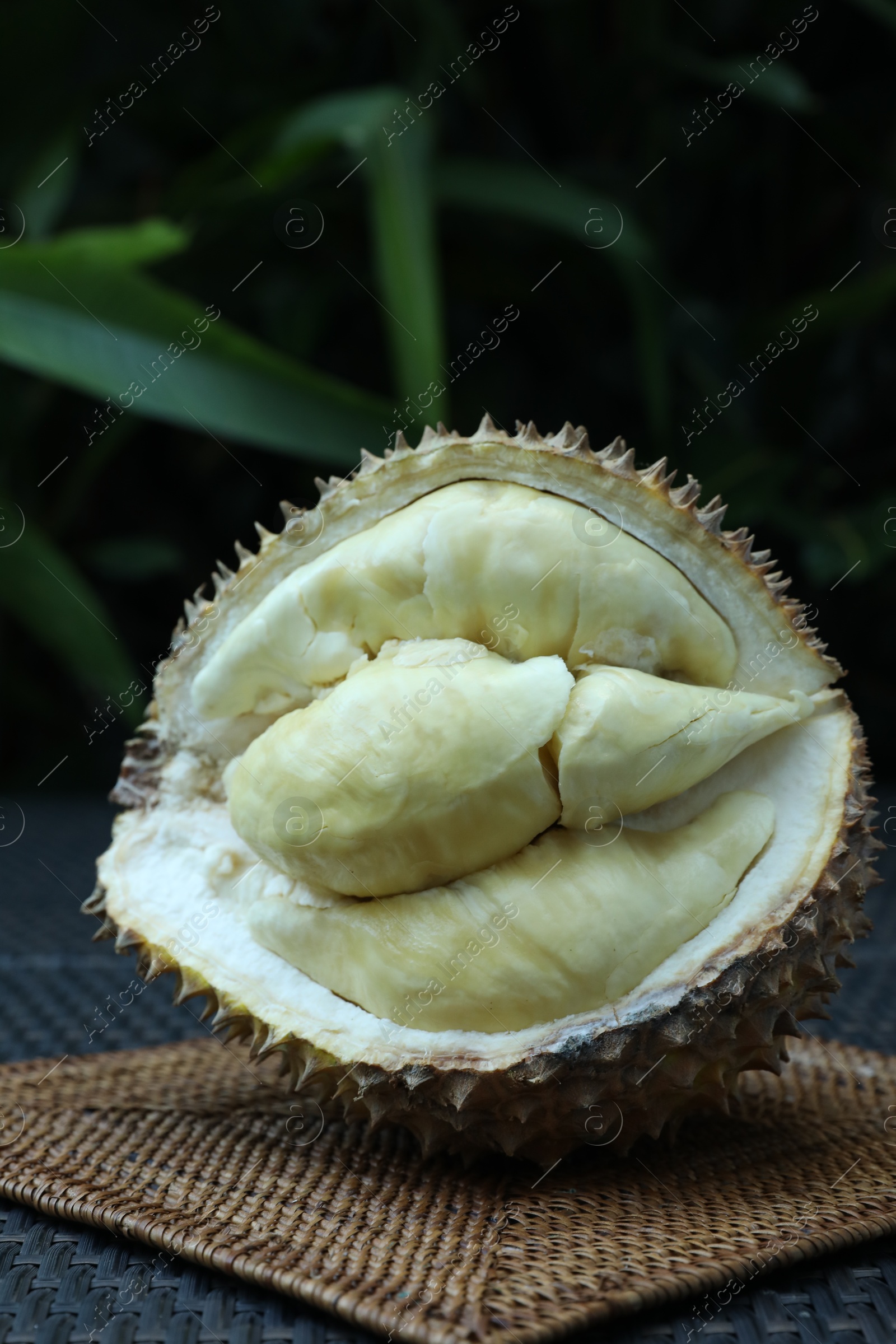 Fresh ripe durian on wicker table outdoors Photo of Fresh ripe durian on wicker table outdoors