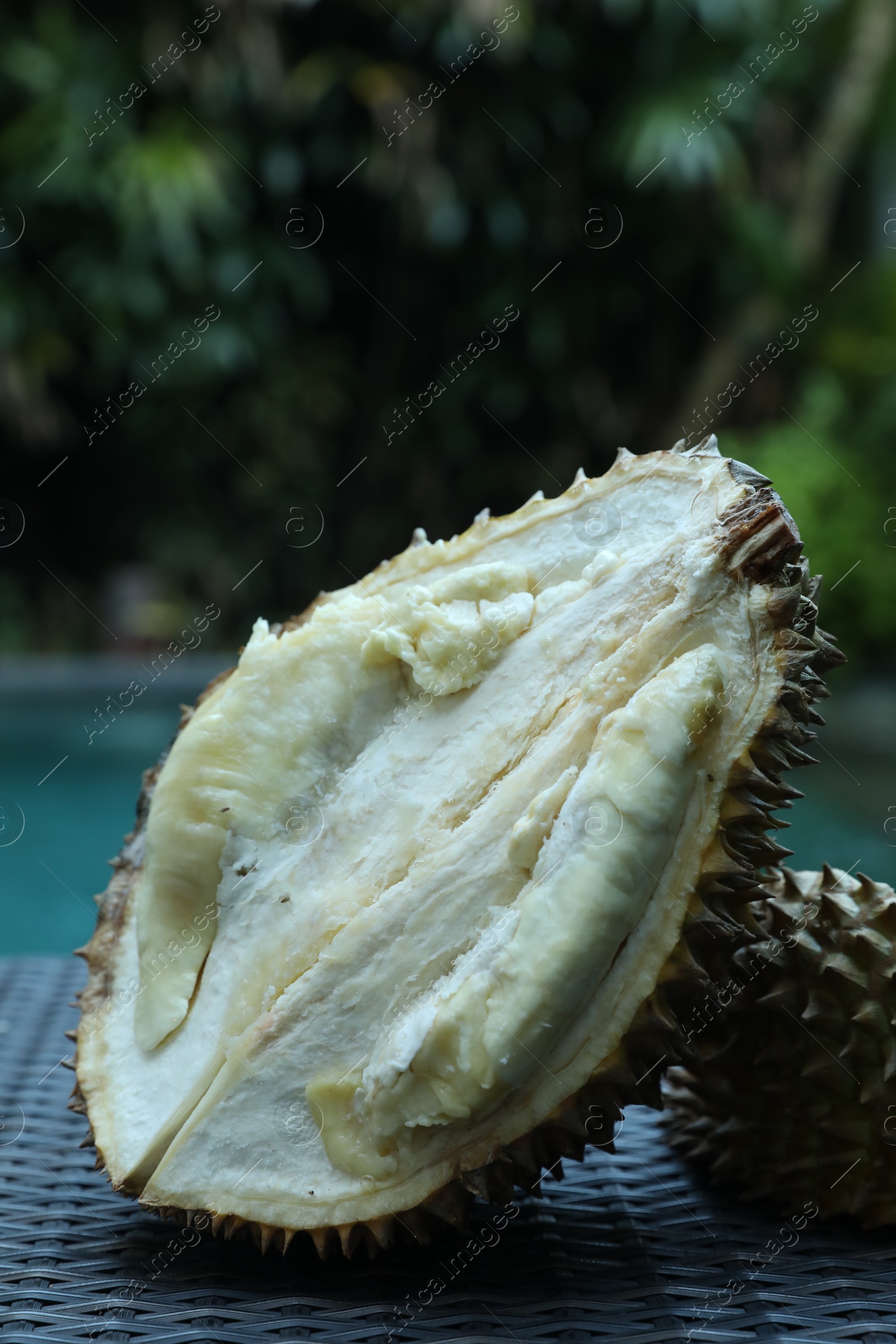 Fresh ripe durian on wicker table near swimming pool outdoors, closeup Photo of Fresh ripe durian on wicker table near swimming pool outdoors, closeup