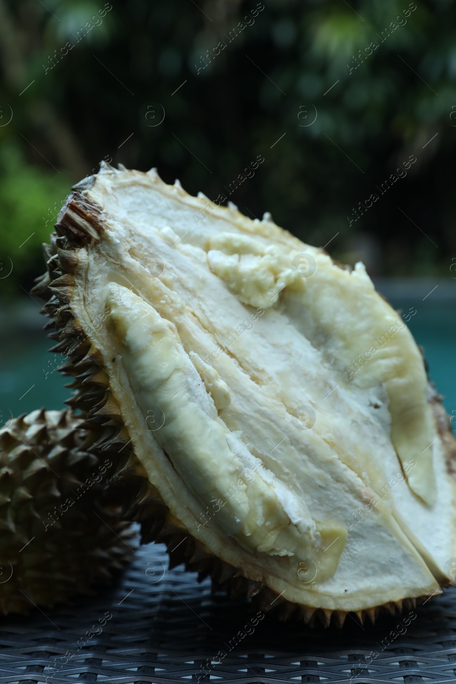 Fresh ripe durian on wicker table near swimming pool outdoors, closeup Photo of Fresh ripe durian on wicker table near swimming pool outdoors, closeup
