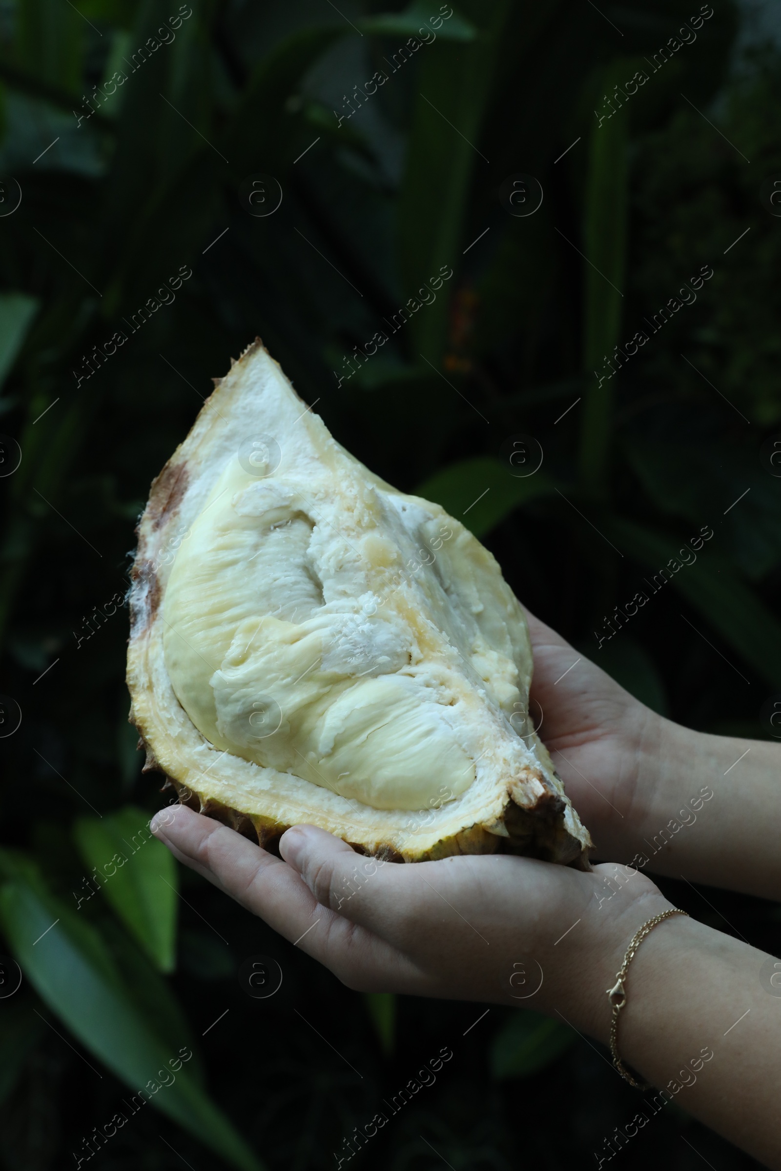 Woman with fresh ripe durian outdoors, closeup Photo of Woman with fresh ripe durian outdoors, closeup