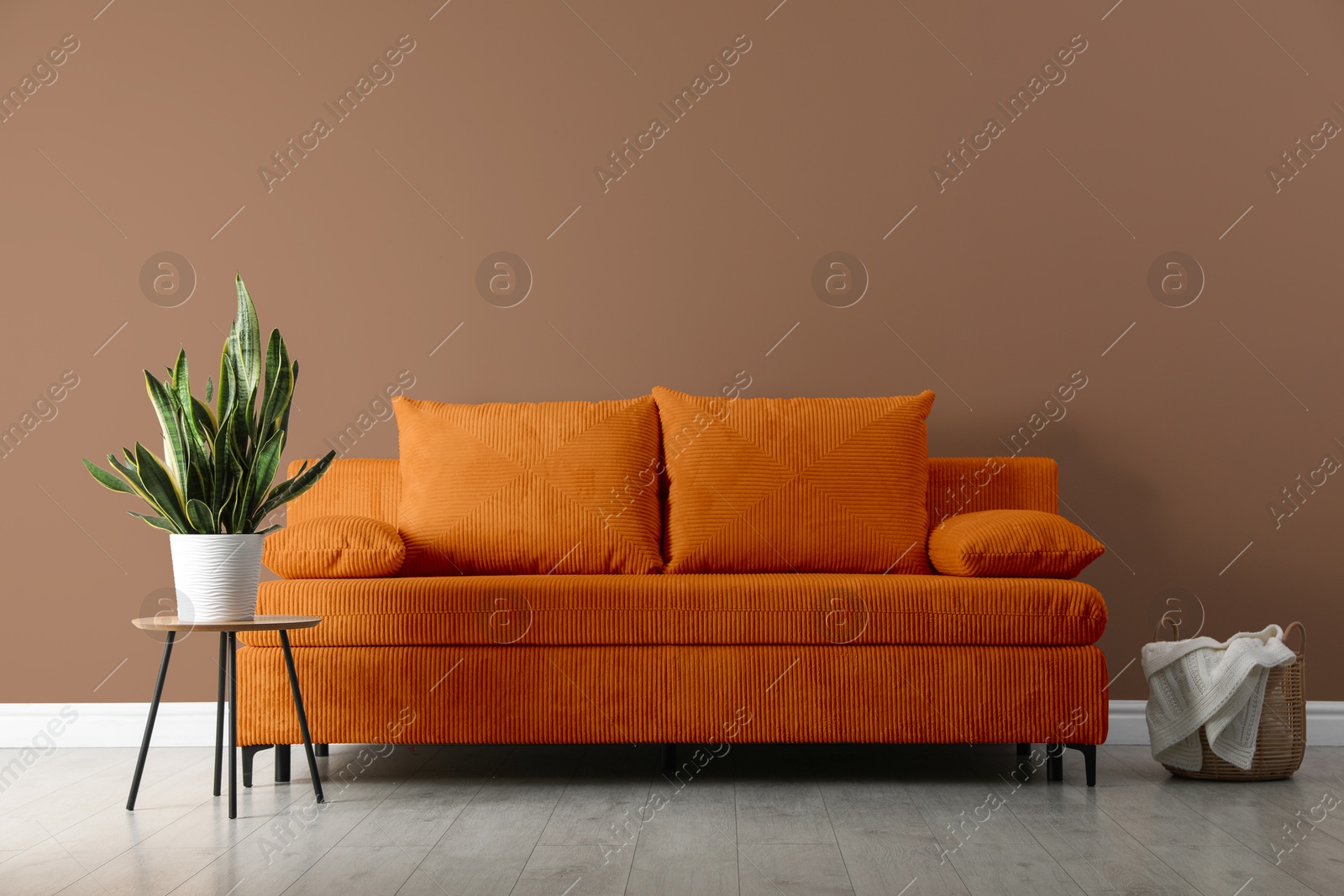 Stylish living room with comfortable sofa and pale brown wall. Interior design Image of Stylish living room with comfortable sofa and pale brown wall. Interior design