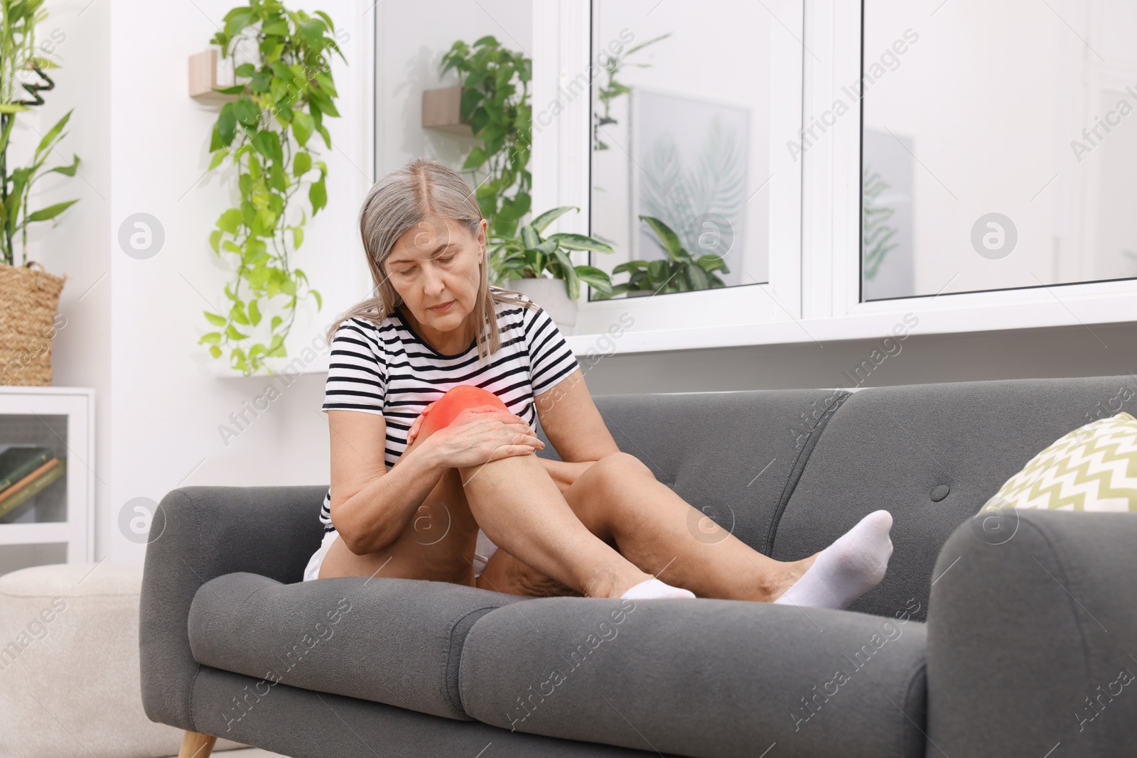 Senior woman suffering from pain in knee on sofa at home Image of Senior woman suffering from pain in knee on sofa at home