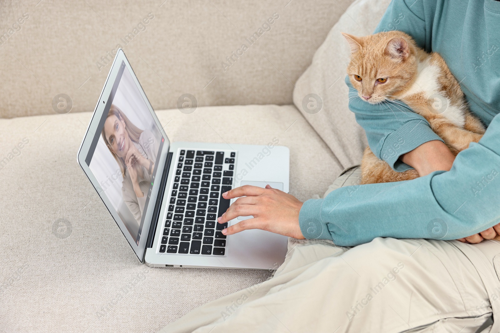 Online psychologist. Woman with cat receiving counselling via video call on laptop at home, closeup Image of Online psychologist. Woman with cat receiving counselling via video call on laptop at home, closeup