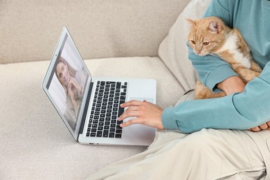 Image of Online psychologist. Woman with cat receiving counselling via video call on laptop at home, closeup