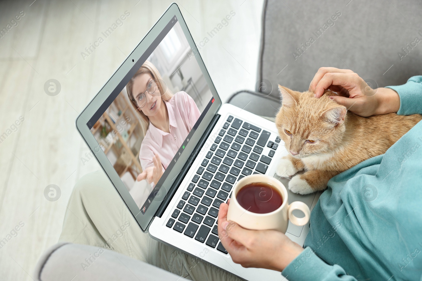 Online psychologist. Woman with cat and cup of tea receiving counselling via video call on laptop at home, closeup Image of Online psychologist. Woman with cat and cup of tea receiving counselling via video call on laptop at home, closeup