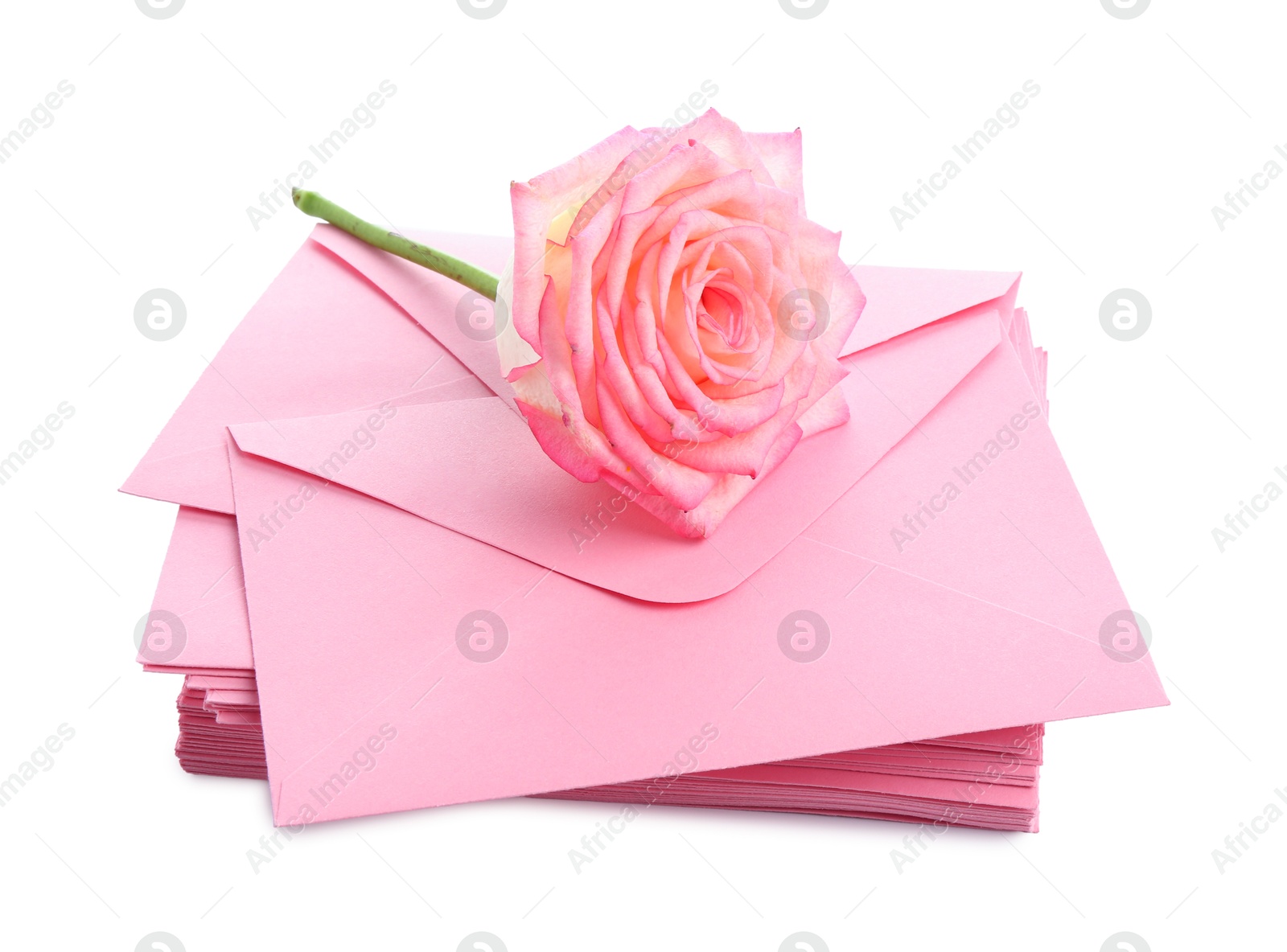 Stack of love letters and flower isolated on white Photo of Stack of love letters and flower isolated on white