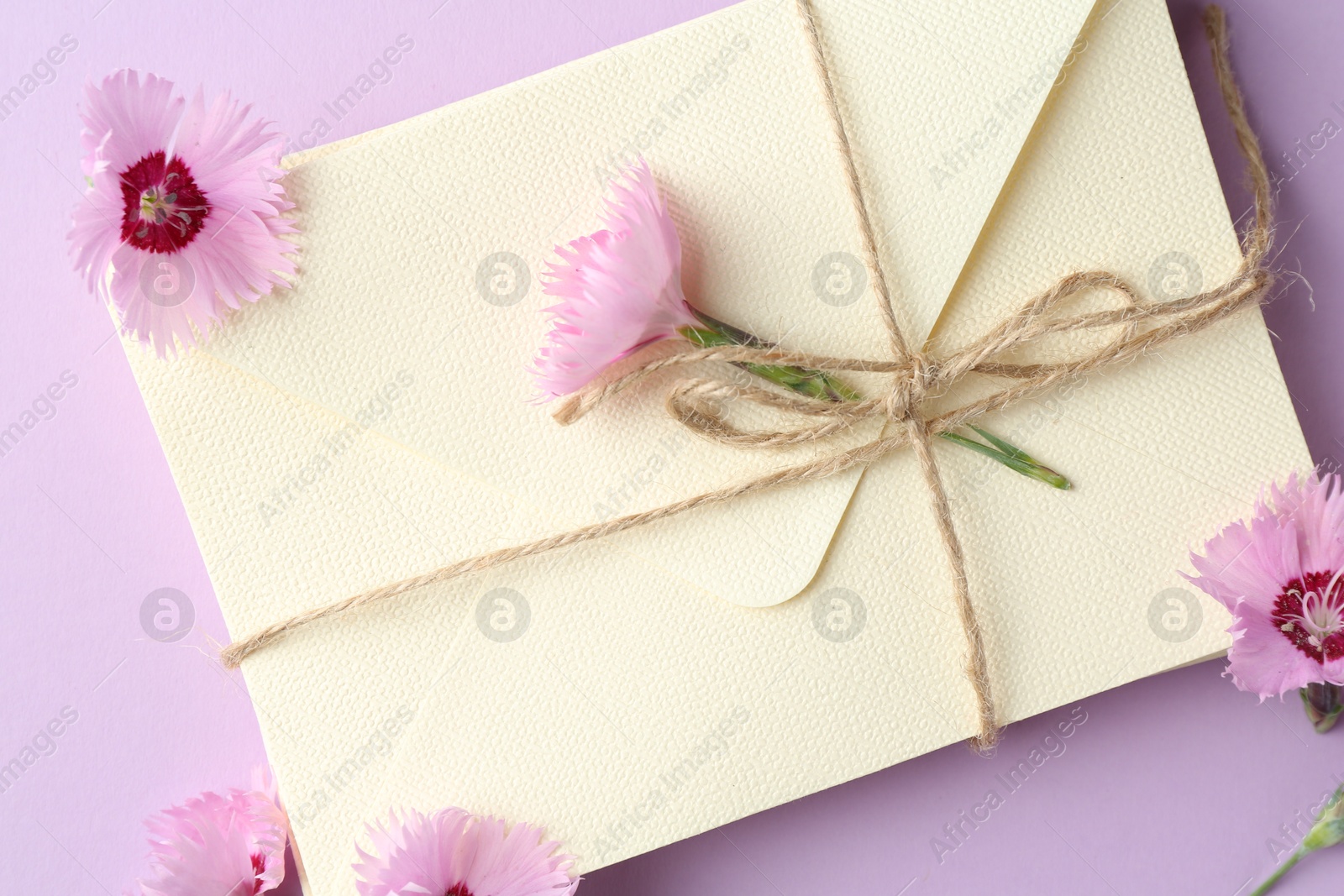 Stack of love letters and carnation flowers on violet background, flat lay Photo of Stack of love letters and carnation flowers on violet background, flat lay