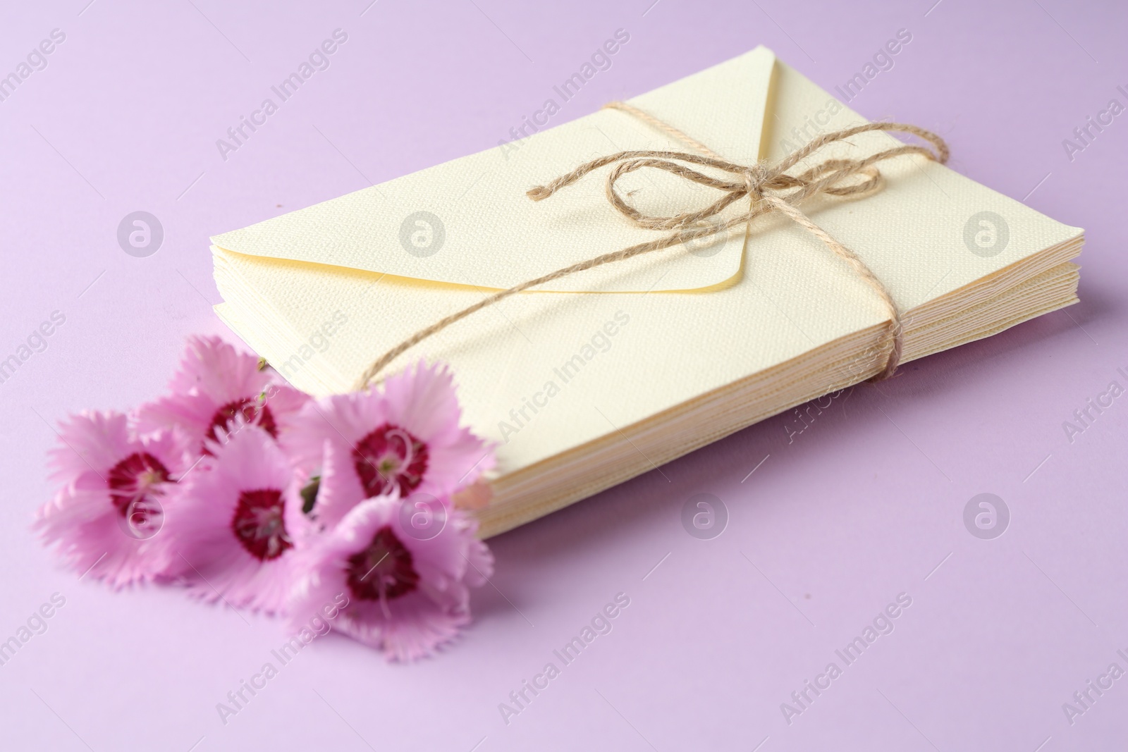 Stack of love letters and carnation flowers on violet background, closeup Photo of Stack of love letters and carnation flowers on violet background, closeup